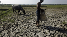 90% hiện tượng El Nino kéo dài ít nhất đến tháng 4/2024