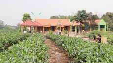 Quảng bá và gia tăng giá trị kinh tế của du lịch nông thôn