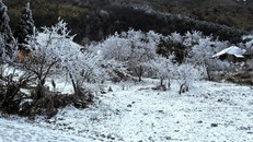 Không khí lạnh tràn về, vùng núi cao Bắc Bộ có băng giá