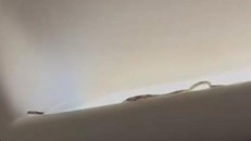 Phát hiện rắn trên máy bay Thái Lan