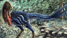 Phát hiện loài khủng long mới từ hóa thạch mua trên mạng