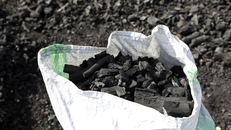 Hội nghị quốc tế kêu gọi thúc đẩy giải pháp nấu ăn sạch 