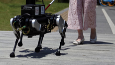 Chó robot dẫn đường hỗ trợ người khiếm thị