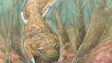 Phát hiện sinh vật giống kỳ nhông tồn tại trước khủng long