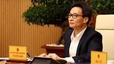 Hành động triệt để ngăn dịch: Rà từng ngõ, gõ từng nhà