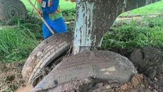 Mưa gió lớn, máy bay trượt khỏi đường băng, tất cả an toàn