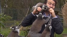 Tình huống dở khóc dở cười khi phóng viên BBC bị bao vây