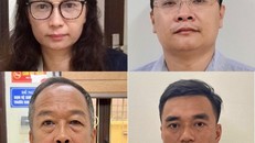 Từ trên xuống dưới, từ trái sang, các bị can: Nguyễn Mai Anh, Ngô Quang Tuấn,Trần Văn Dự, Vũ Sỹ Cường.