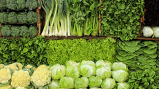 Các loại rau lá xanh là tác nhân làm sạch gan tự nhiên rất mạnh mẽ