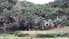 Nơi hai bố con anh Dinh bị sét đánh trúng