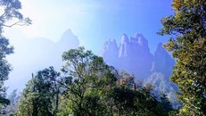  Khám phá núi Ngũ Chỉ Sơn hùng vĩ ở Sapa