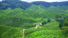  Khám phá 'nước Anh thu nhỏ' giữa vùng cao nguyên của Malaysia