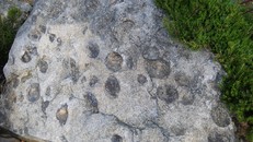 Bí ẩn những tảng đá biết 'sinh con' ở Bồ Đào Nha