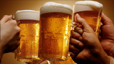 Hợp chất trong bia giúp trị hội chứng chuyển hóa