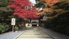 Ghé thăm miền đất tâm linh đặc biệt tại Nhật Bản