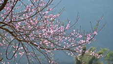 Những điểm đến siêu chất trong tháng 3