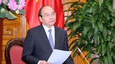 Ban cán sự Đảng Chính phủ thực hiện nghiêm túc Nghị quyết 04 và Chỉ thị 05 của Bộ Chính trị