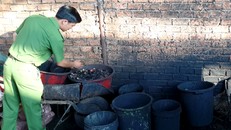 Bộ Nông nghiệp lập tổ xác minh vụ 'nhuộm phế phẩm cà phê bằng bột pin'