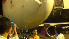 Vụ máy bay Vietjet va phải chim xảy ra vào năm 2015 .