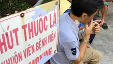 Ảnh mnh họa (TTXVN)