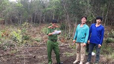 Hai người được thuê phá rừng giá 500.000 đồng/ngày?