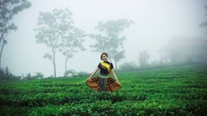 Rủ nhau trốn nóng đến 4 điểm du lịch nghe tên đã 'mát lạnh'