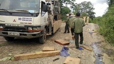 Đắk Nông: Xe chở gỗ lậu lật gần trạm quản lý bảo vệ rừng, 2 người chết thảm