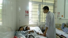 Ăn nấm độc, bốn người trong gia đình nhập viện