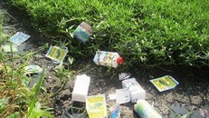 Báo động: Xét nghiệm 67 người ở Hà Nội thì 31 người tồn dư thuốc bảo vệ thực vật trong máu