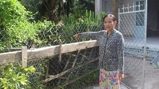 Kêu cứu vì bị anh ruột bít lối đi vào nhà