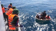 Ảnh chỉ có tính minh họa. (Ảnh: Đức Thọ/TTXVN)