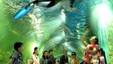 5 điểm vui chơi dịp nghỉ lễ 2/9 quanh Hà Nội