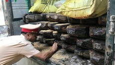 Lực lượng cảnh sát giao thông đang kiểm tra số gỗ lậu vận chuyển trên xe tải.