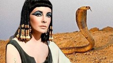 Bí ẩn về loài rắn của nữ hoàng Cleopatra