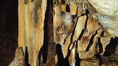 Dấu tay người tiền sử bị khuyết một hay nhiều ngón tay được phát hiện trong các hang động khắp nơi trên thế giới.