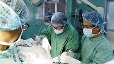 Bác sĩ phẫu thuật giải cứu cậu nhỏ sau tai nạn chăn gối bị gãy “súng”. Ảnh: BSCC