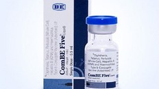 30 trẻ nhập viện sau khi tiêm vắc xin ComBE Five