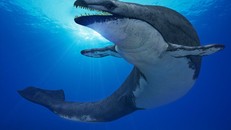 Hình ảnh của loài thủy quái đáy biển Basilosaurus isis.