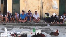 Hiện trường vụ đá gà gần đây nhất trên địa bàn xã Tân Trung