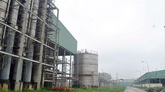 Dự án Ethanol Phú Thọ đắp chiếu ảnh: Minh Đức
