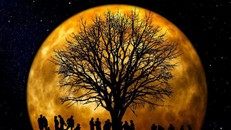 'Siêu Trăng' dài và rõ nhất 2019 sẽ xuất hiện vào đêm nay