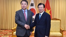 Phó Thủ tướng Trịnh Đình Dũng tiếp ông Jin Haeng Chung, Phó Chủ tịch Tập đoàn Hyundai. Ảnh: VGP/Nhật Bắc