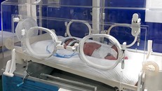 Cháu bé đang được theo dõi đặc biệt - Ảnh: L.N