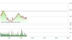 Sức ép cổ phiếu ESOP, BVH bị bán tháo