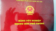 Sử dụng bằng cấp 'dỏm', trưởng phòng giáo dục huyện bị khiển trách