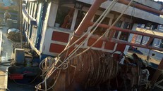 Các ngư dân bị ngộ độc khí dưới hầm cá.