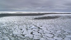 Diện tích băng tại Nam Cực đã xuống mức thấp nhất chỉ trong vòng 4 năm mà chưa rõ lý do - (Ảnh: AP).