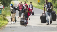 Người di cư từ Haiti di chuyển tại Champlain, New York (Mỹ) để chuẩn bị băng qua biên giới sang Canada ngày 4/8/2017. Ảnh: AFP/TTXVN