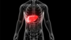 Phát hiện tế bào mới có thể tái tạo gan