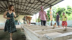 Chú cho được lựa chọn cho vai diễn Cậu Vàng không được lòng khán giả